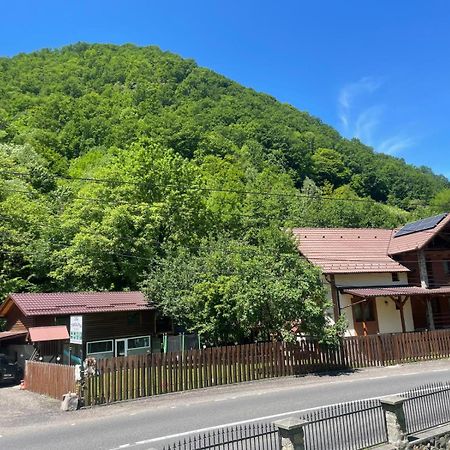 Pensiunea Casa Transalpina Şugag Buitenkant foto