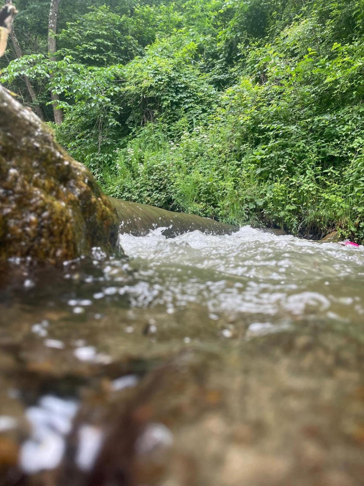 Pensiunea Casa Transalpina Şugag Buitenkant foto